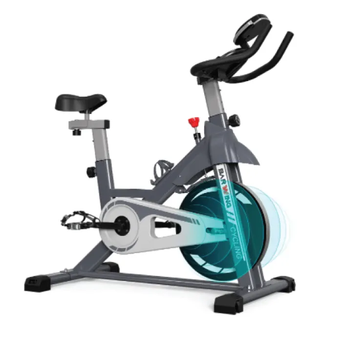 BARWING exercise bike for home
